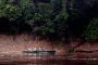 Amazonas06 - 075